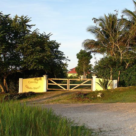 Casa Del Caballo Blanco Hotel Сан Игнасио Екстериор снимка