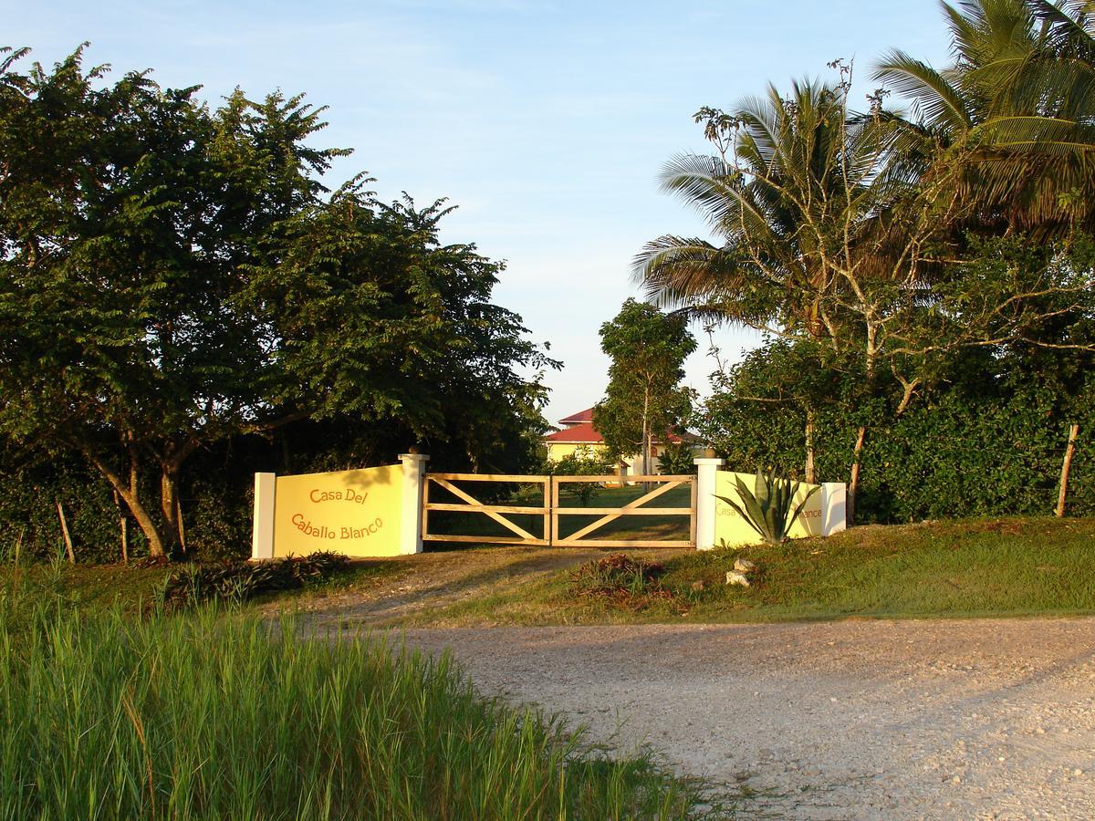 Casa Del Caballo Blanco Сан Игнасио Екстериор снимка