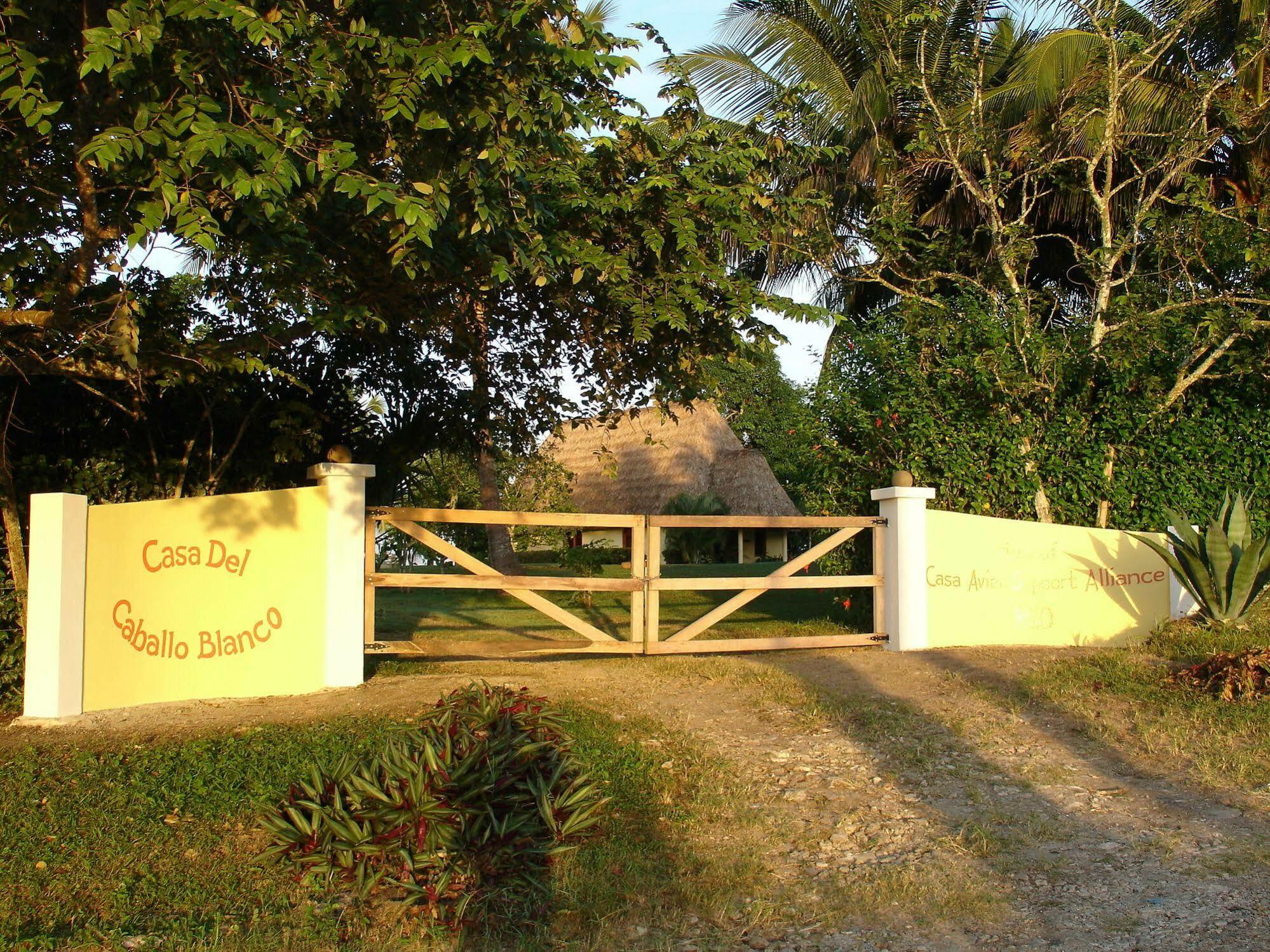 Casa Del Caballo Blanco Сан Игнасио Екстериор снимка
